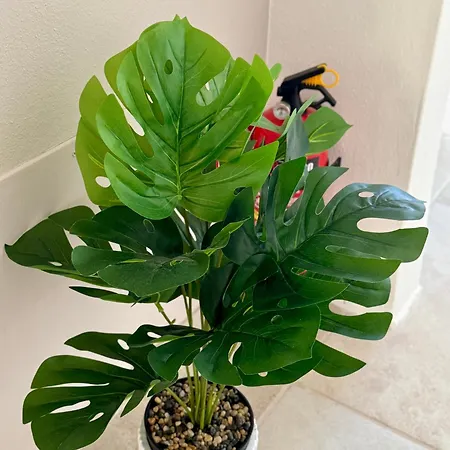 Dolce Casa Jes Apartman *