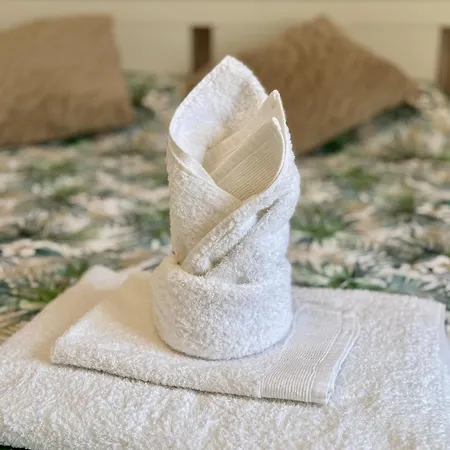 Dolce Casa Jes * بيزا